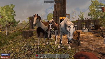 7 Days to Die - SDX Medieval Mod - Final decoration asset list?