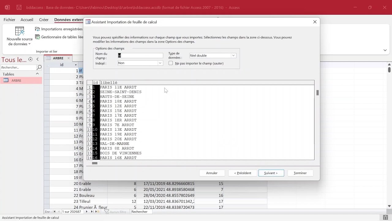 Access : Importer des données à partir d'Excel - Explications & Exemples - Bases de données