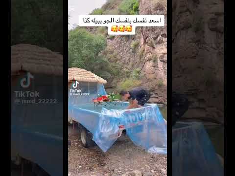 لما اكون مش في امان الله ويجي اللي ينكد عليك   ضحك