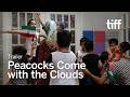 PEACOCKS COME WITH THE CLOUDS Trailer | TIFF 2026