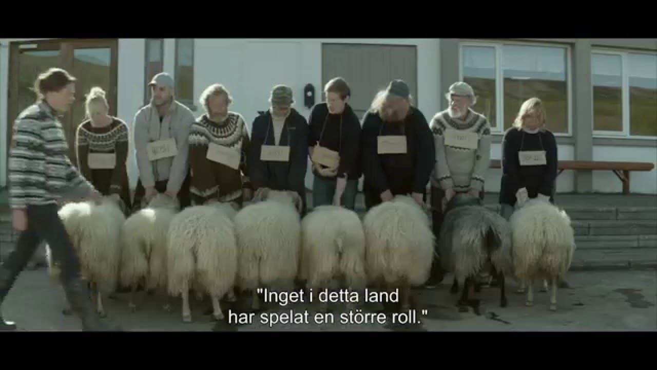 bland män och får recension bland män och får recension