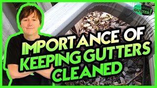 Importance of keeping your gutters cleaned, Rotted Fascia, Roof Leaking, Major DAMAGE! Wealth