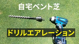 【自宅ベント芝】電動ドリルでドリルエアレーション