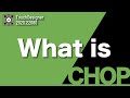 【オペレータ解説】CHOPの基礎を学ぼう!【CHOP編】