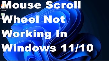 Muiswieltje werkt niet in Windows 11/10 [opgelost]