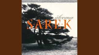 Älvorna (Karaoke Version)