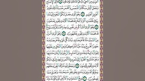 سورة الأنعام | تلاوة الصفحة 140 _ تنبيهات هامة لإتقان التلاوة وحسن الأداء.