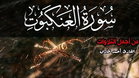 سورة العنكبوت كاملة | تلاوة تهز القلب | Surah Al Ankabut