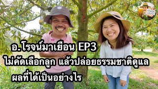 Ep.3/3 อ.โรจน์มาเยือน | ไม่คัดเลือก ตัดแต่งลูก แล้วจะเกิดอะไรขึ้น ทำเป็นกรณีตัวอย่างให้เห็นแล้ว