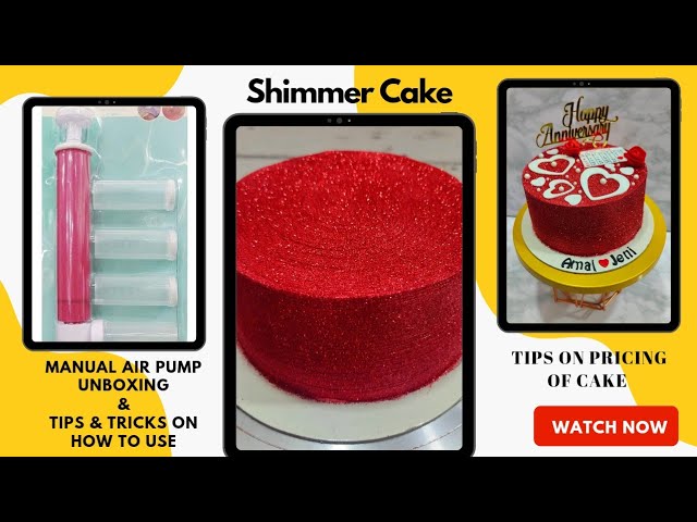 Shimmer Pump for Cakes, Cupcake And Deserts. Manual Airbrush Pump