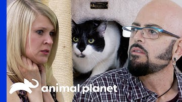 Cat Is So Aggressive His Owner Cries Of Fear! | My Cat From Hell