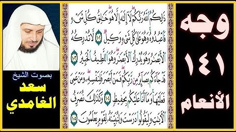 صفحة 141 سورة الأنعام ❆ سعد الغامدي ❆ ذلكم الله ربكم لا إله إلا هو خالق كل شيء فاعبدوه