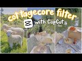 🌱Cottagecore Video Editing // CapCut Filter Preset