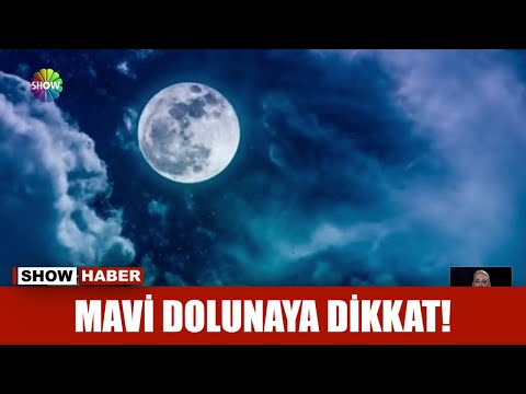 Video: Mavi Ayı Ne Zaman Görebilirsin