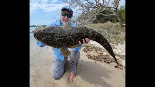 105 cms Flathead Release clip Port Stephens screenshot 5