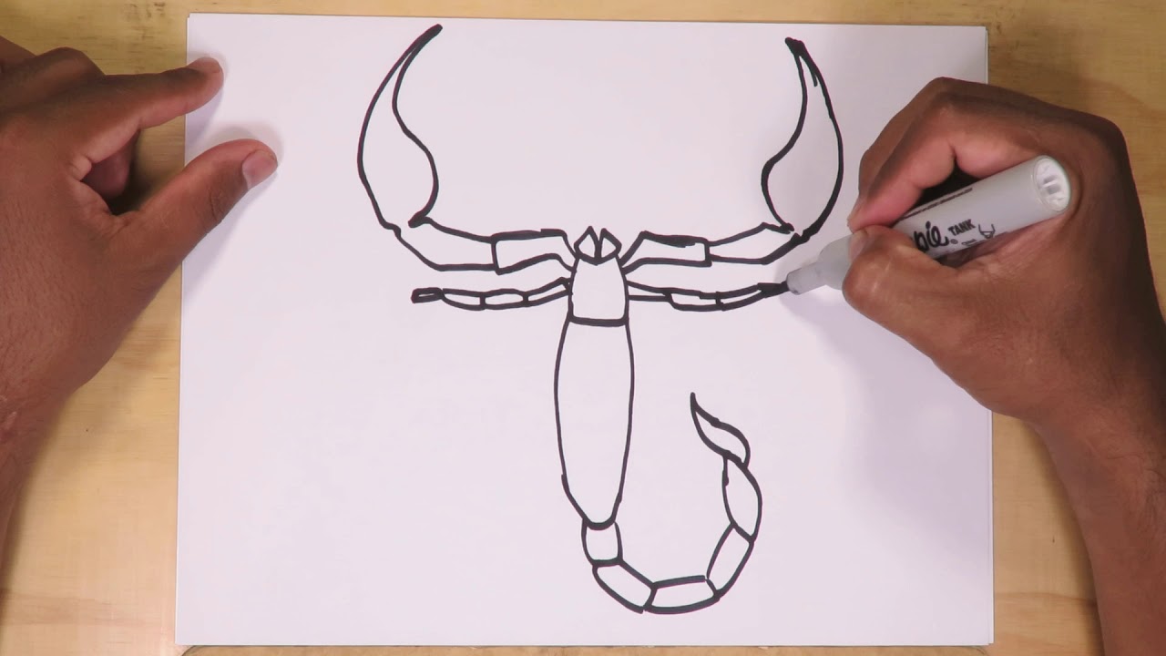 How to draw a Scorpion step by step - YouTube