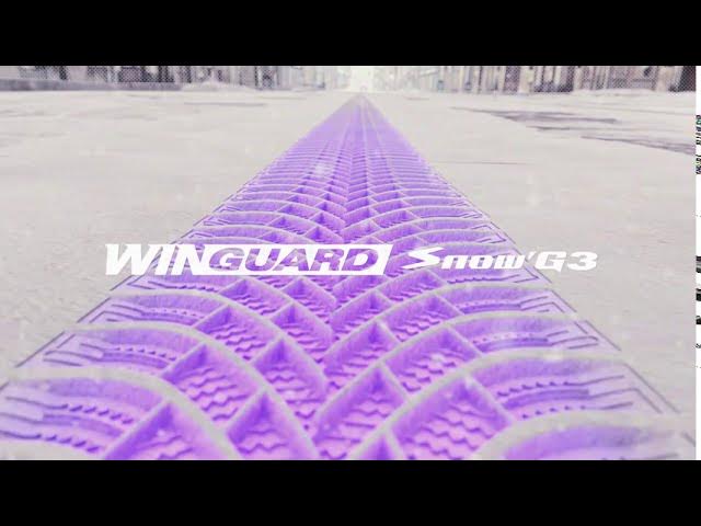 Winter po 000 - pneumatiky YouTube km tires WH21 Snow Review G3 Nexen 5 Recenze Zimní WinGuard