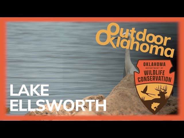 Watch Lake Ellsworth on YouTube.