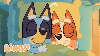 Bingo and Bluey Miss Each Other at Bedtime 🥹 🧡 💙 | Season 3 - Bedroom ⭐️ | Bingo - Official Channel