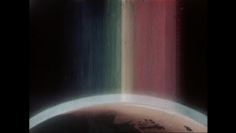 Serious Beak - Proto (Menura novaehollandiae) (OFFICIAL VIDEO)