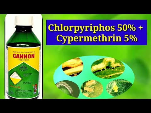 Nagarjuna, Cannon insecticide || chlorpyriphos 50%+ Cypermethrin