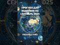 Прогноз для Водолеев на сентябрь 2025 | Ирида Фортуна Таро онлайн