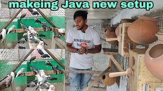 Makeing New Breeding Colony Setup  For Java Birds | Java Birds Breeding Setup.
