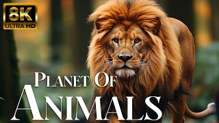 Wild Animals Of The Rainforest 4K - Wonderful Wildlife Movie With Real Sounds