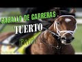 Caballo Tuerto corre el Kentucky Derby|THE ONE EYED HORSE Patch