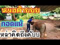 🐘🍼หลีกหนีความวุ่นวาย//มาดูมิ่งดีกว่า