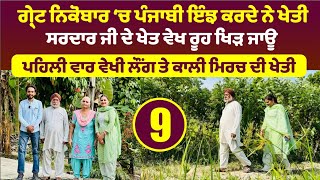 Great Nicobar 'ਚ ਪੰਜਾਬੀ ਇੰਝ ਕਰਦੇ ਨੇ ਖੇਤੀ। Punjabi In Campbell Bay । Amrik Manpreet । Walk With Turna