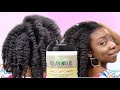 Braid Out on WET Type 4 Natural Hair Using Taliah Waajid  Curly Curl Cream