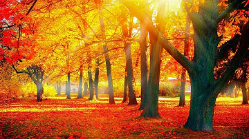 Beautiful Relaxing Music - Soothing Autumn Melodies, Mindful and Peaceful Piano Instrumental Music