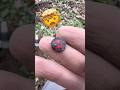 Нашёл значок ! #shortvideo #клад #коп #золото #серебро #Находка #поиск #сокровище #shorts #топ #top