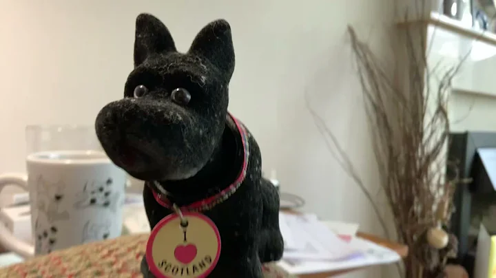 Scottie dog