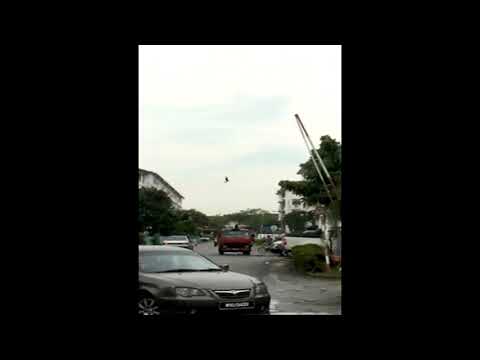 Птицы застыли в воздухе Птицы застыли в воздухе