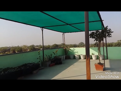 211# How to use Green net to Protect Overplants from Summer || Green Net लगाने का Idea