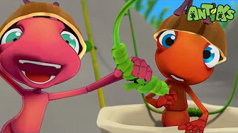 Cheeky Chariot Race!🐜| Antiks | Monster Cartoon for Kids