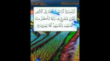 سورة السجدة الآية ( 27 )