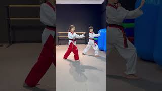 Taekwondo / Poomsae 8 / Training