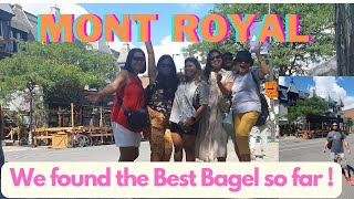 I Have Tasted the best Bagel So Far  found in MONT ROYAL ! ( MONT ROYAL /Montreal )