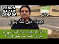 Landa Bazar Canada | Cheapest Market | Is It Beneficial? | کینیڈا میں لنڈا بازار