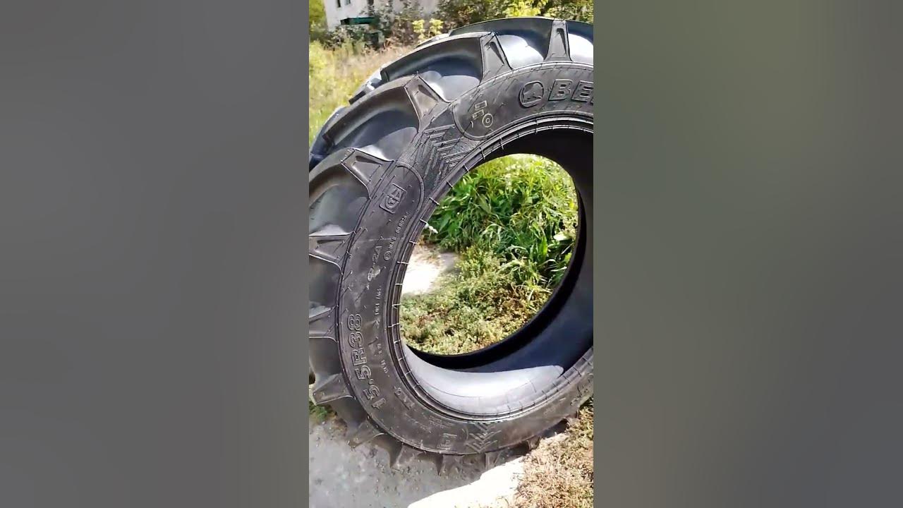 кама или белшина что лучше летом