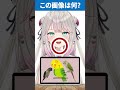 【アキネーター風クイズ】これ分からん奴おる? #vtuber #shorts