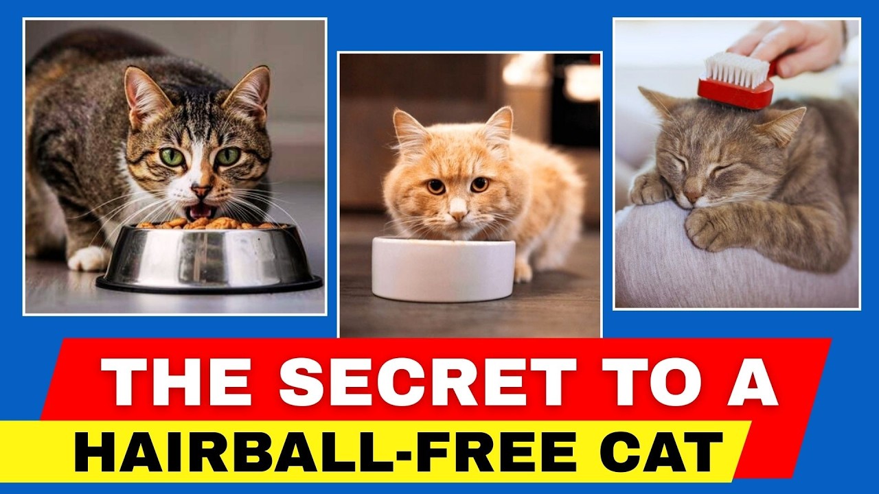 5 Ways to Stop Hairballs in Cats Naturally