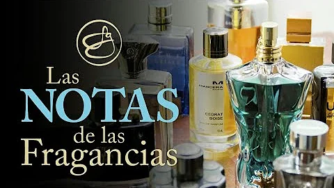 ¿Cuál es la nota más importante de un perfume?