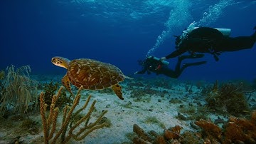 Garmin | Descent X30 Dive Computer