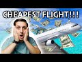 ALWAYS Book The CHEAPEST Flights