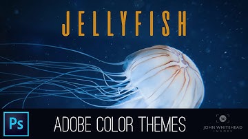 Adobe Color Themes in Adobe Photoshop