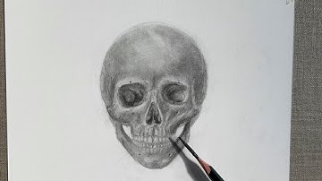 Skull Drawing Step by Step: Anatomy and Narrated Tutorial